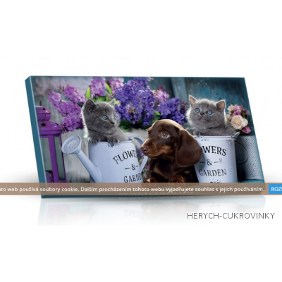 Mléčná čok. 50g - Pes,kočka