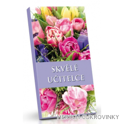 Čokoláda Skvělé učitelce 50g