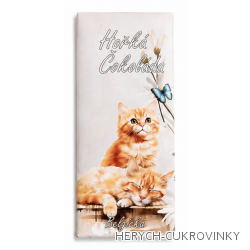 Kočka 100g - hořká čokoláda