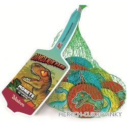 Čok. mince Dinosaurus síťka 45g